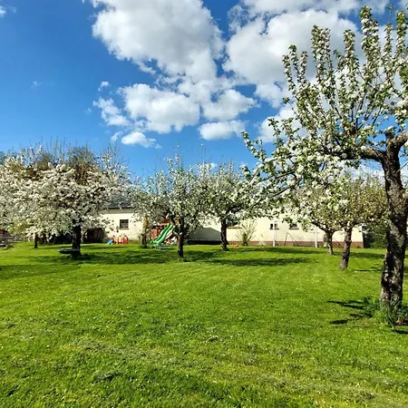 Zur Hofreite Apartment