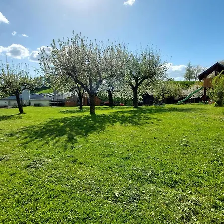 Apartment Zur Hofreite Moerlenbach