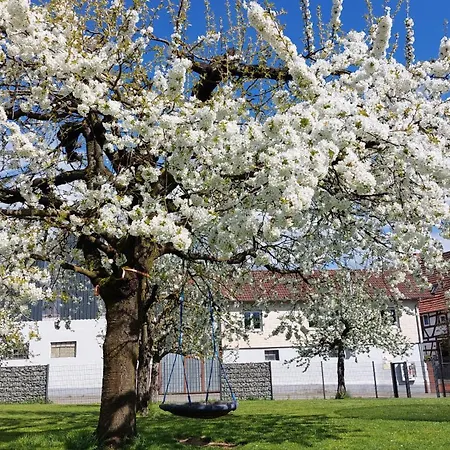 Zur Hofreite 6 * Mörlenbach