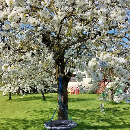 Zur Hofreite 6 דירה