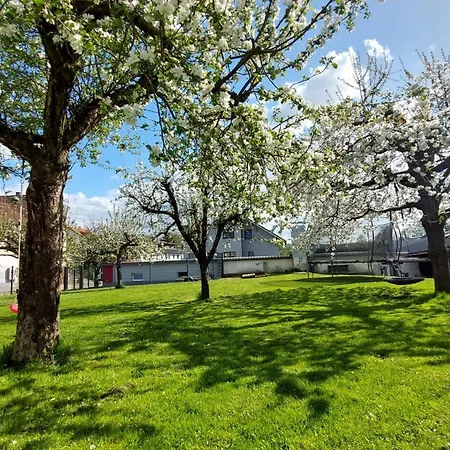 Apartment Zur Hofreite Moerlenbach